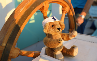 Teddy Bear Picnic Sailing