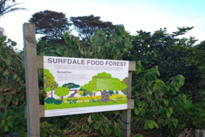 Surfdale Food Forest