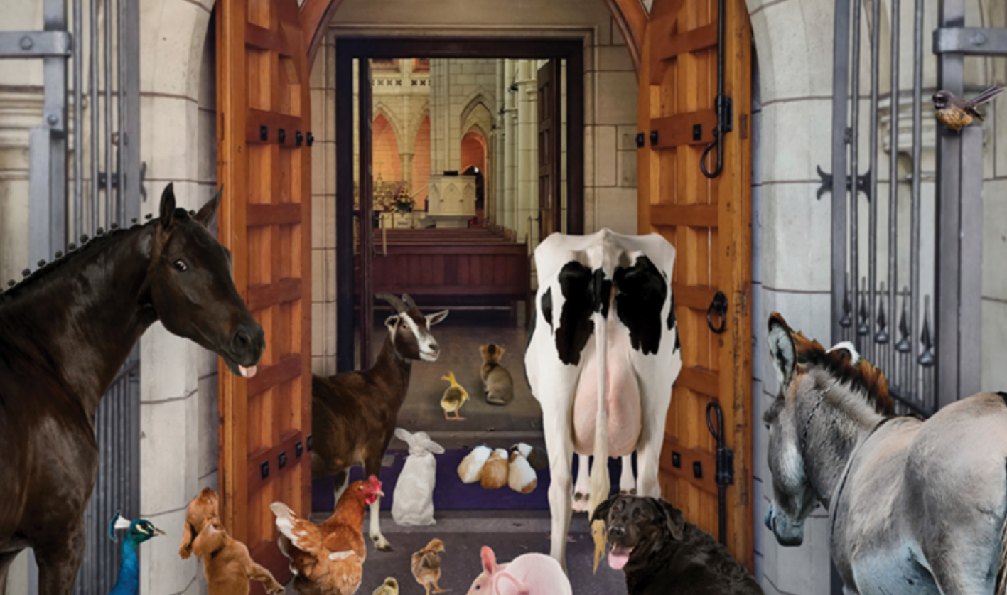 Animals going into a church