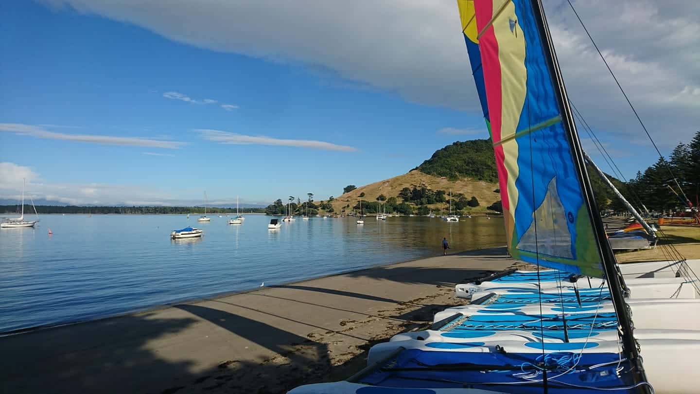 Mt Cats and Yaks at Pilot Bay Beach