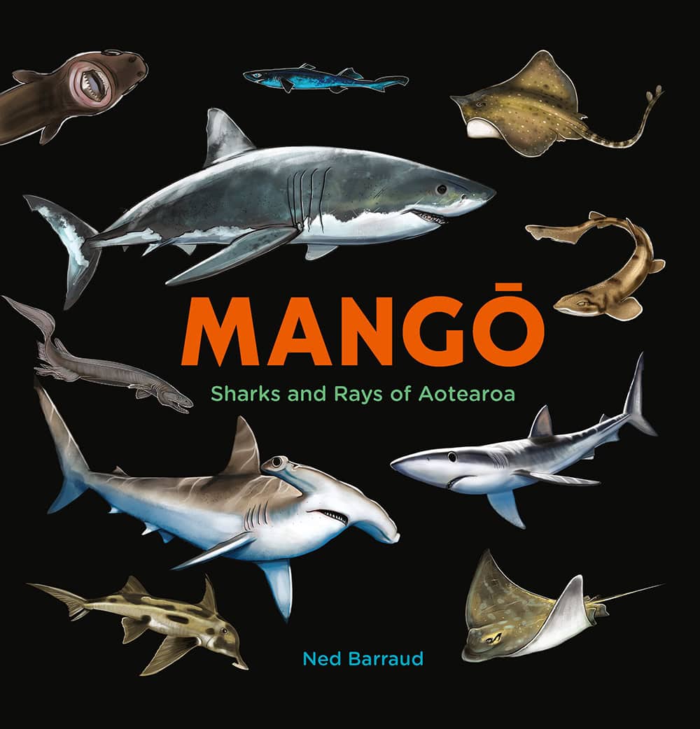 Mango Sharks and Rays of Aotearoa children's book
