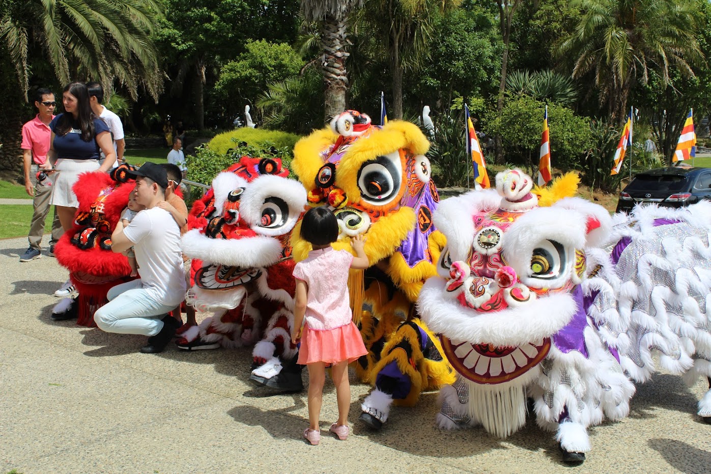 Lion Festival Chinese New Year