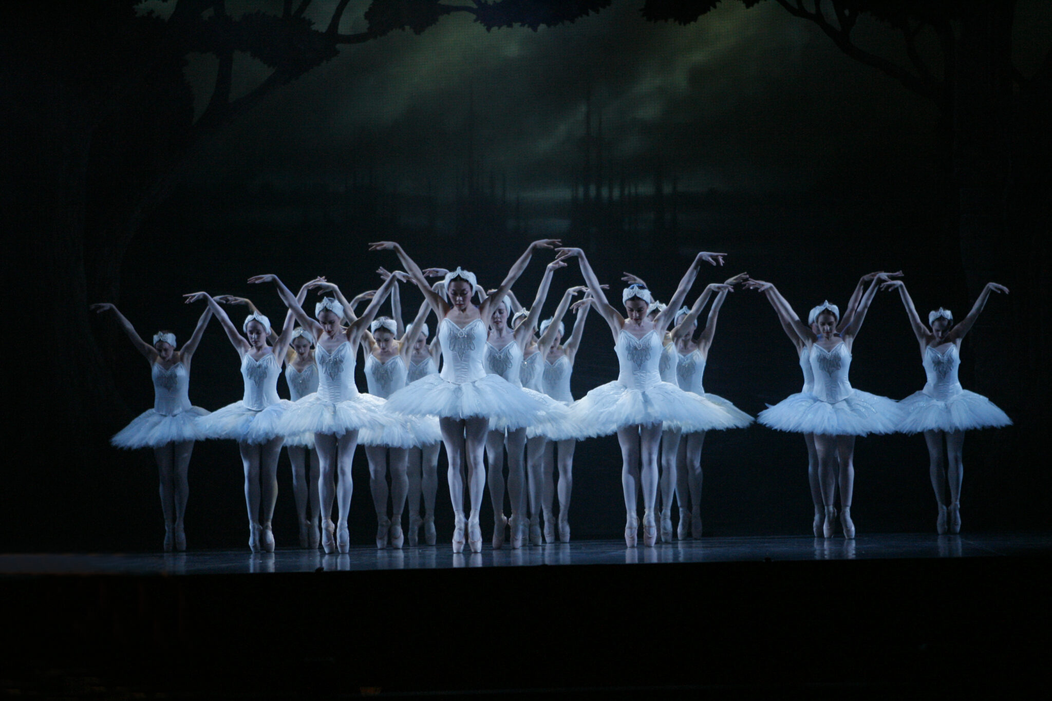 RNZ Ballet Company Swan by Maarten-Holl