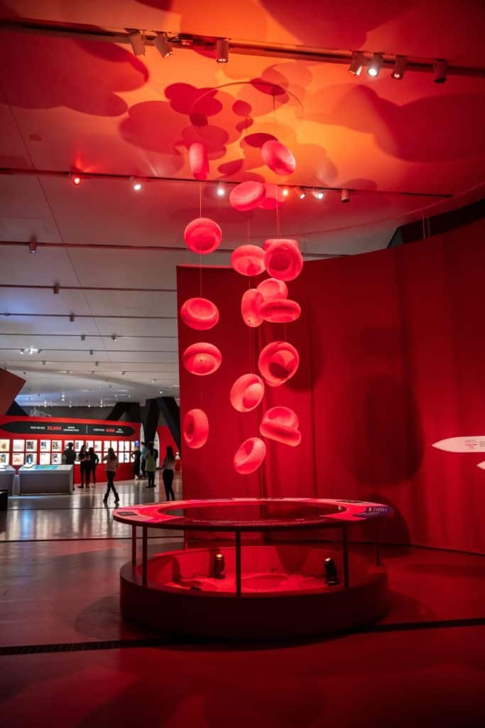 Bloodsuckers Exhibition
