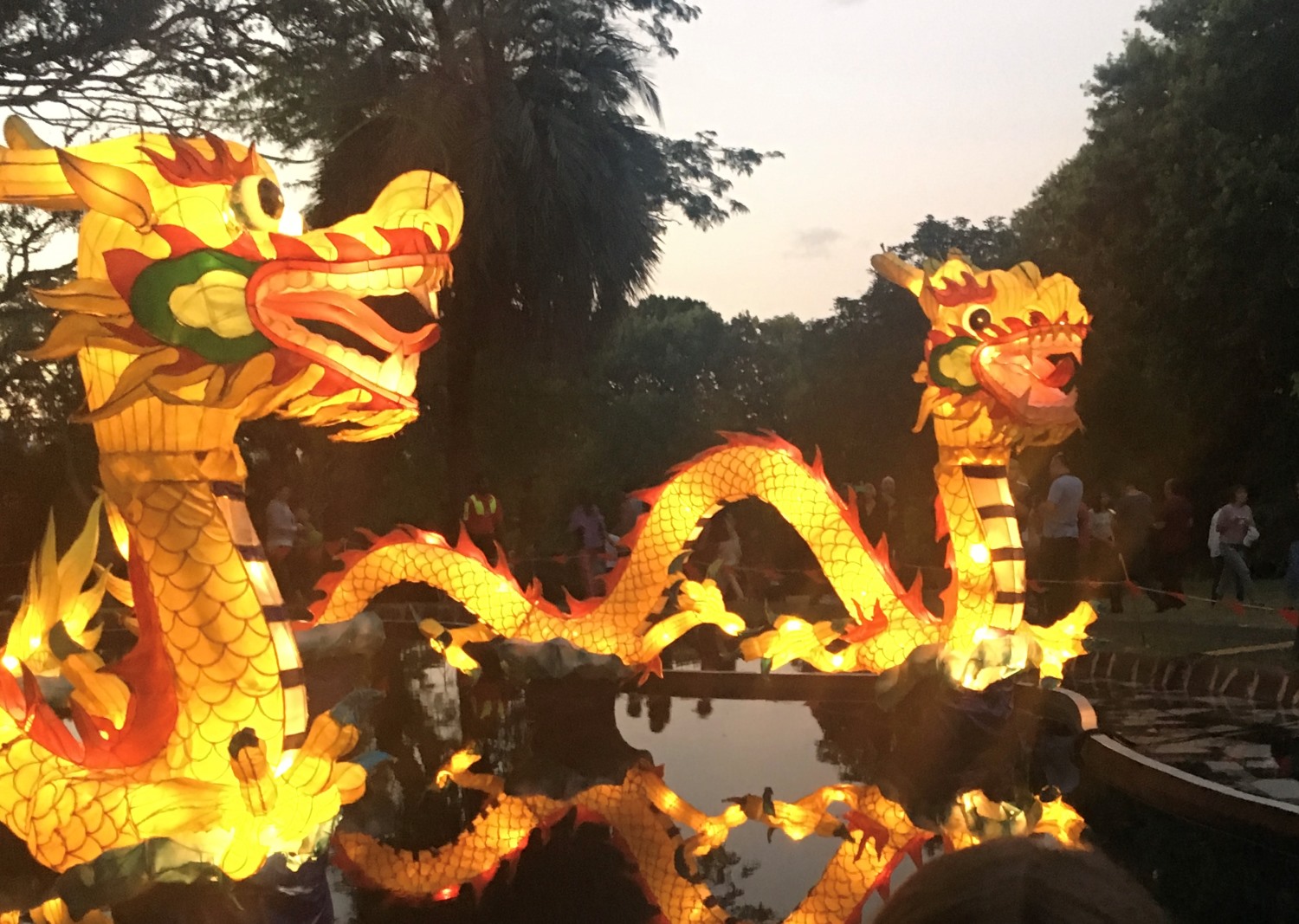 Dragons at Auckland Lantern Festival | Photo by Auckland for Kids
