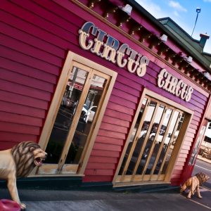 Circus Circus Cafe in Mt Eden