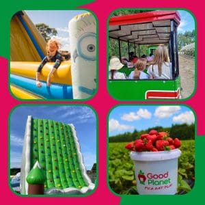 Good Planet Birthday Parties