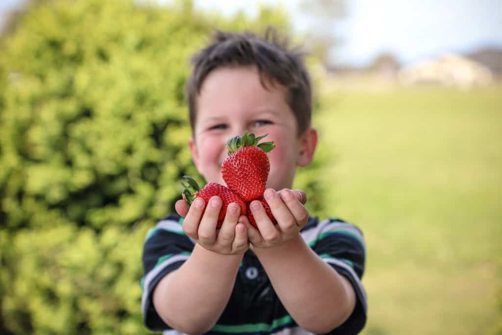 Good Planet Strawberry Farm