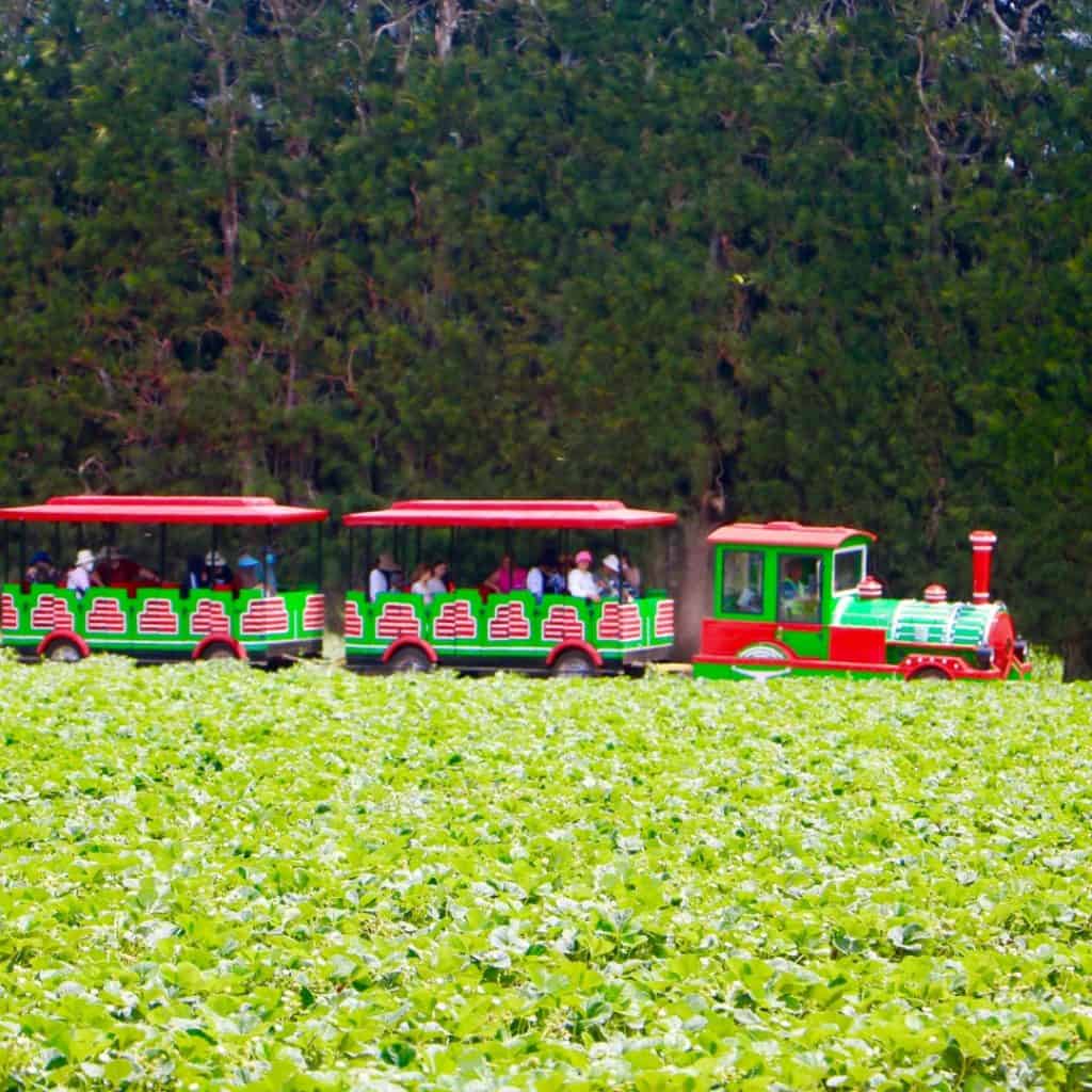 Train at Good Planet 1080