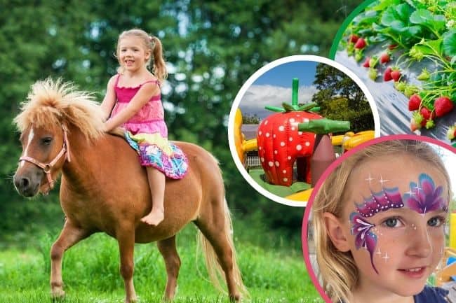 Good Planet Pony Rides