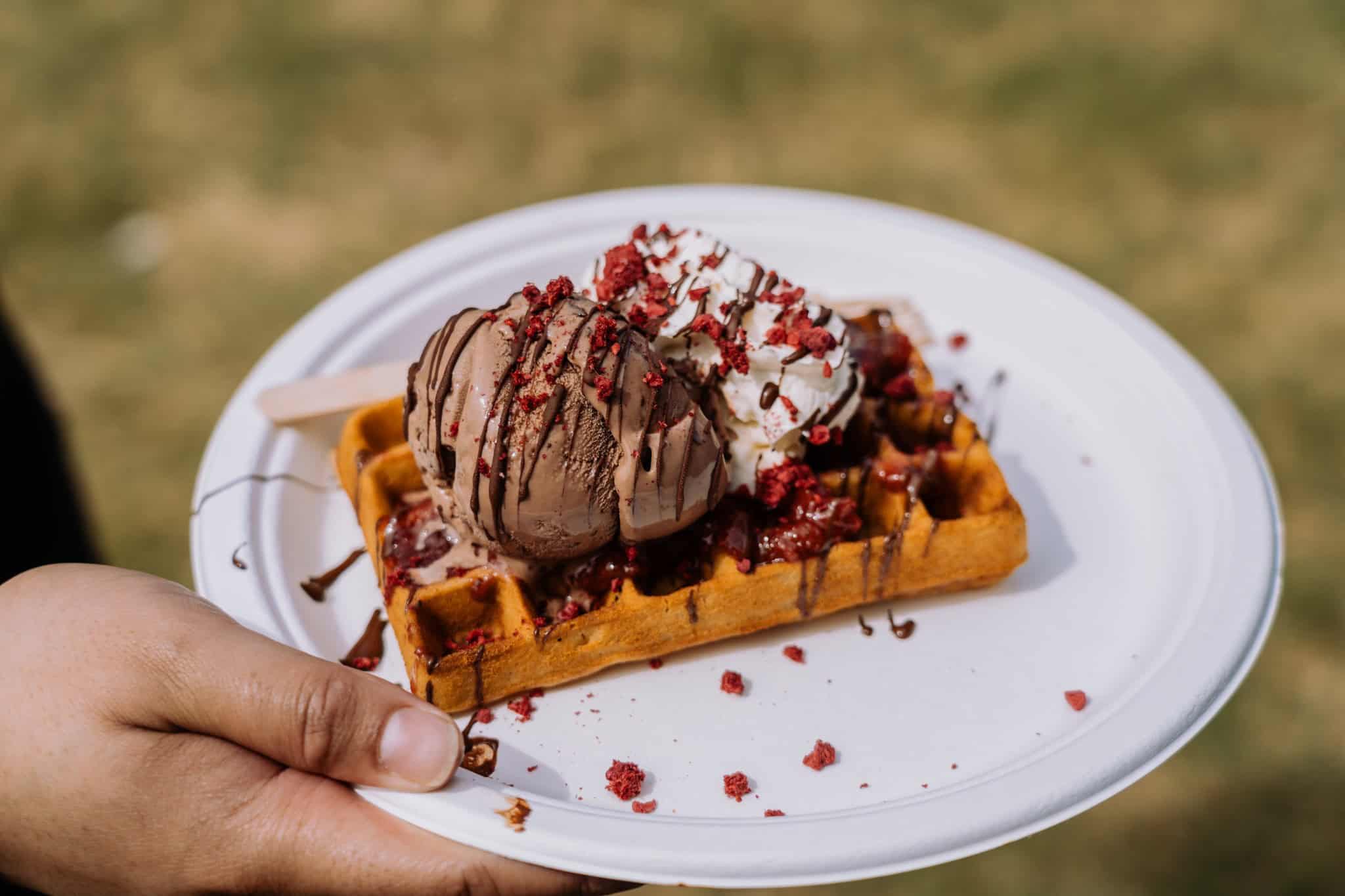 Waffles with icecream