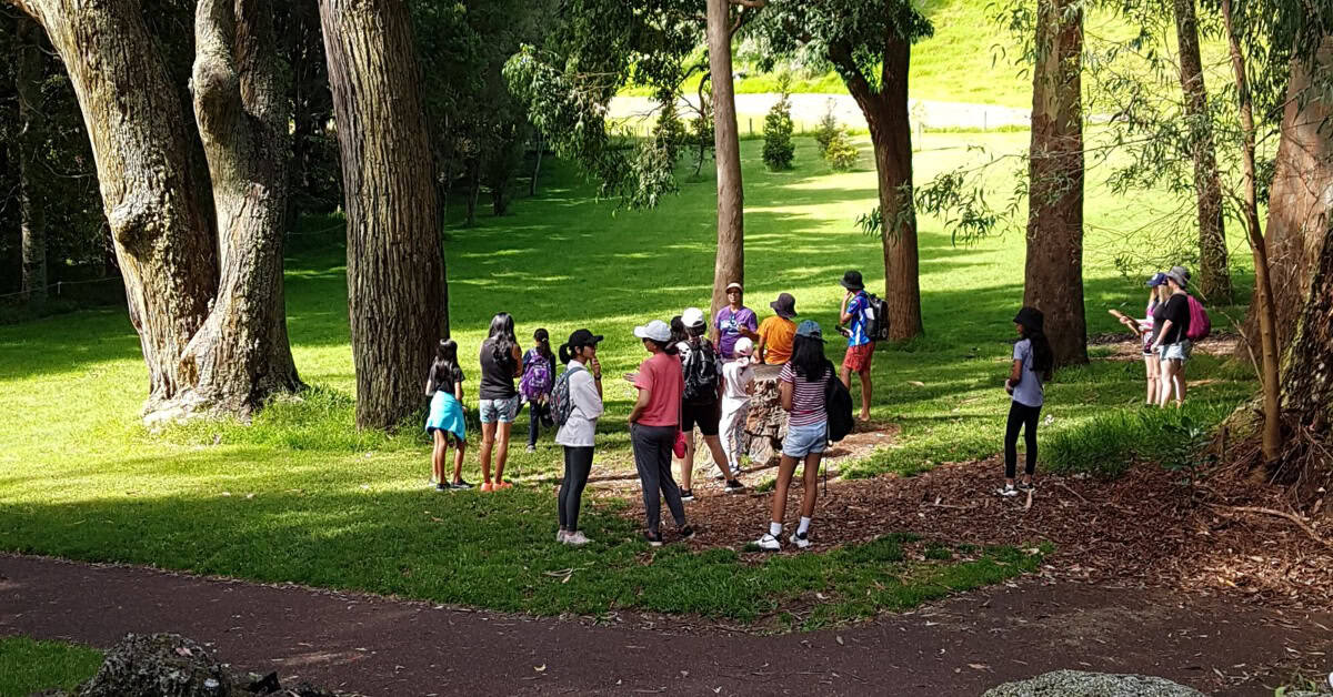 Children and parents walking through Cornwall Park