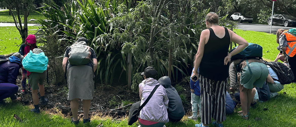 Families and children discovering Cornwall Park
