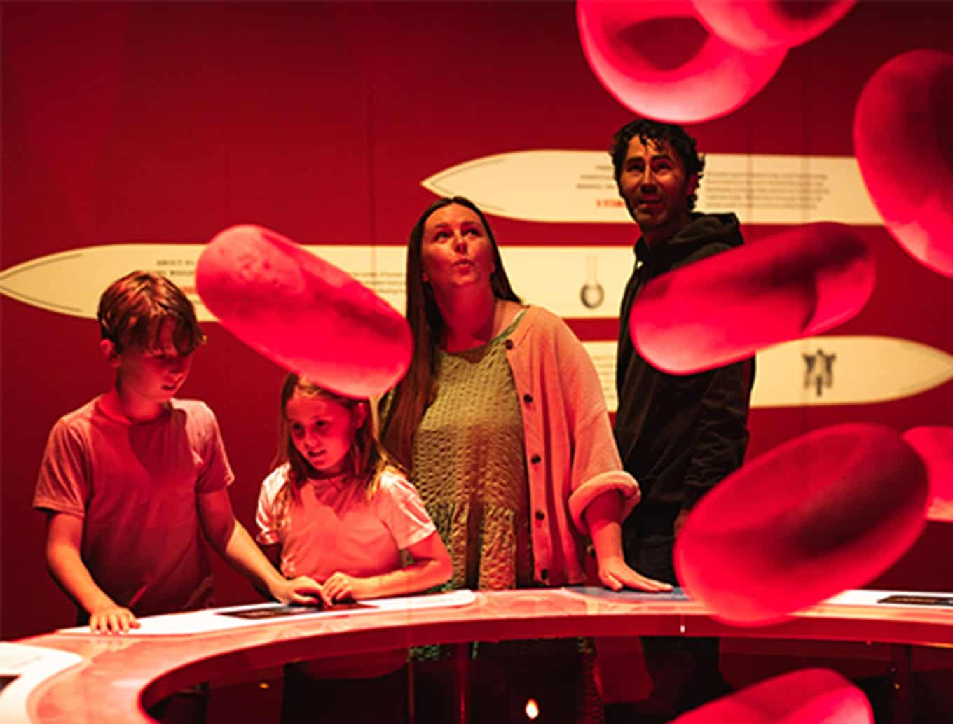 Family interacting with displays in the Bloodsuckers exhibition at Auckland Museum 2025