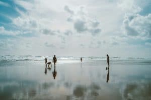 Bethells Beach, Auckland, New Zealand