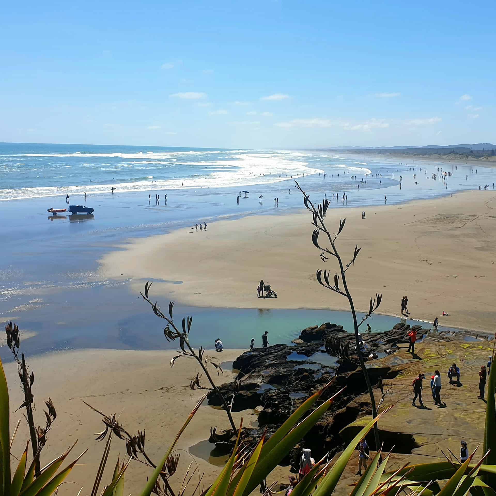 Muriwai Beach, Auckland, New Zealand