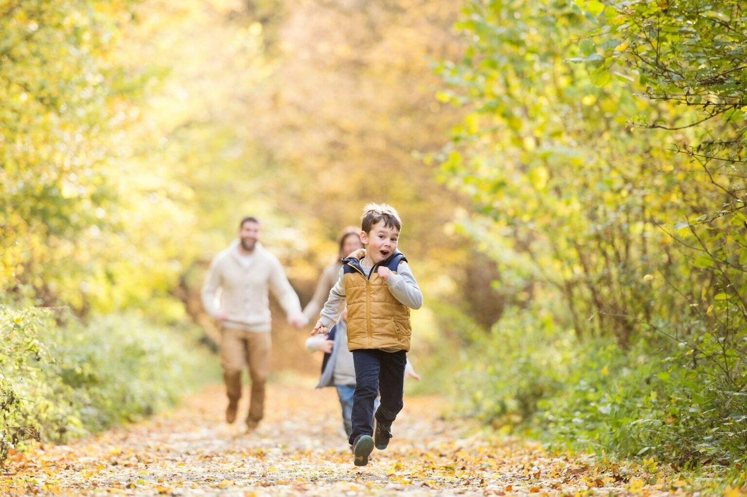 July School Holidays Auckland Events 2026 Kids & Family Guide