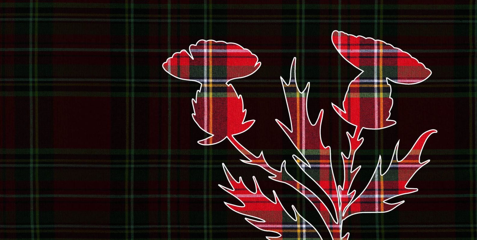 Tartan Day: A Celebration of Scottish Heritage