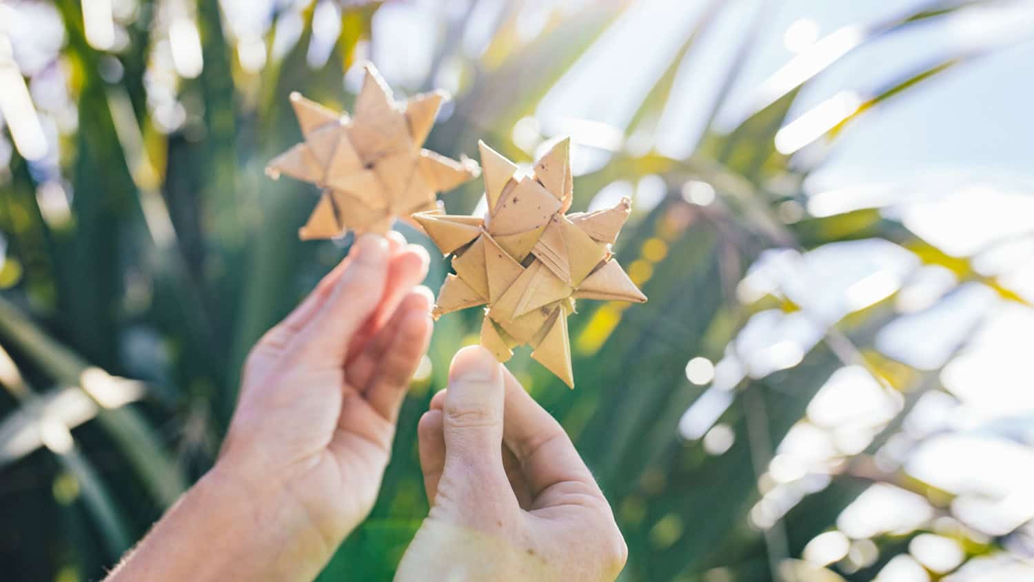 Make a Matariki Star