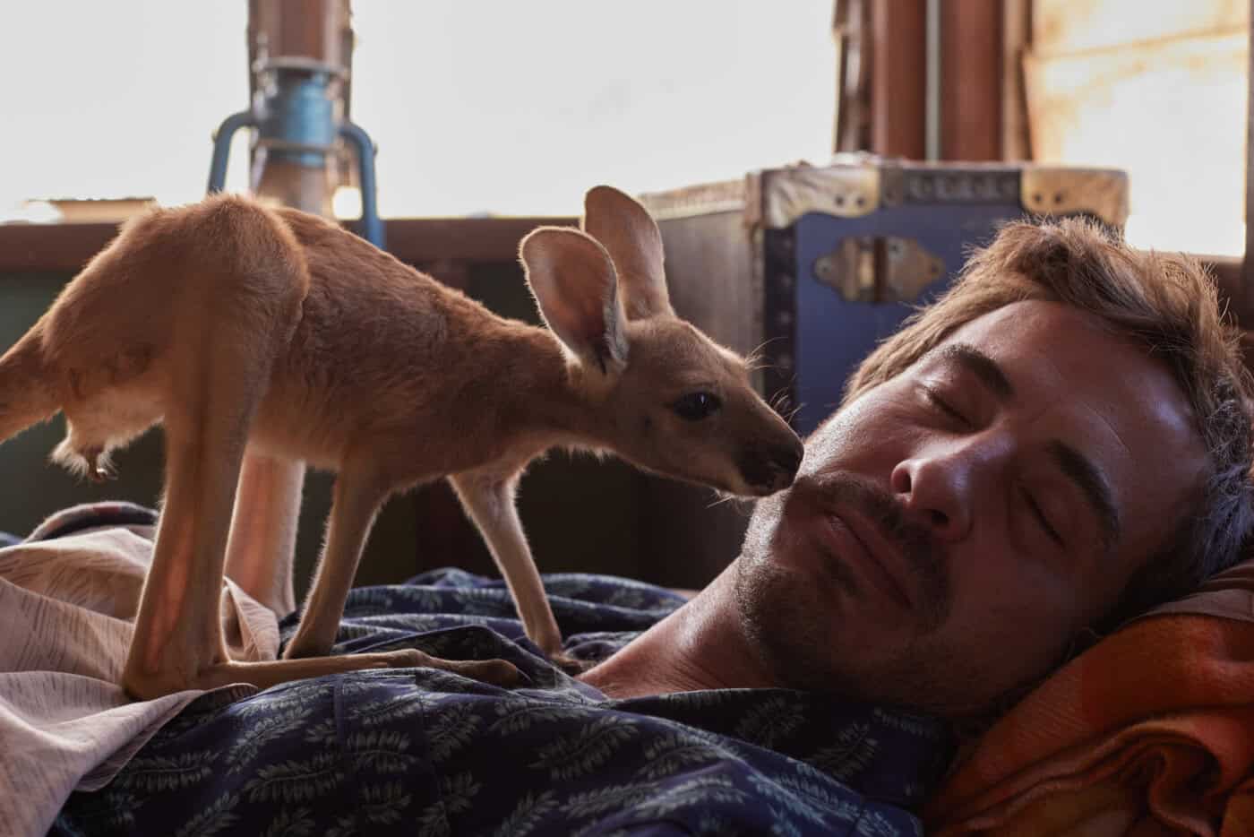 Lopdell Film Festival - Kangaroo