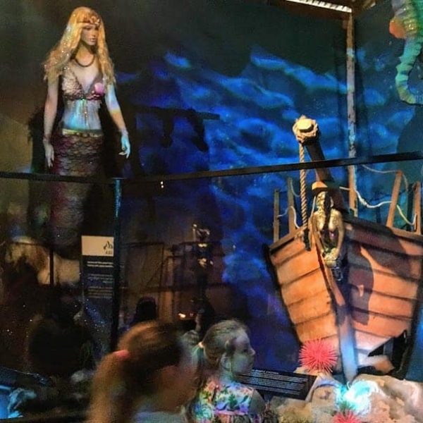 Butterfly Creek mermaids- AUCKLAND FOR KIDS