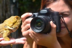 Photography course at Auckland Zoo