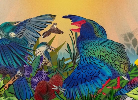 Tu Meke Tūī! award winning children's book
