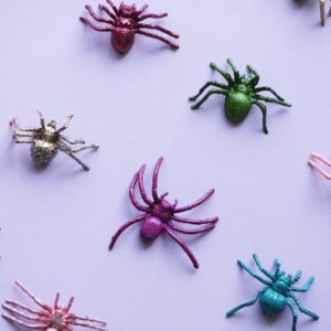 Spider toys