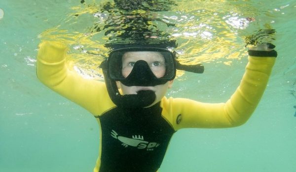 Snorkelling in Auckland